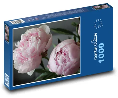 Obrázek produktu pro Puzzle 1000 Růžové pivoňky - martinpuzzle