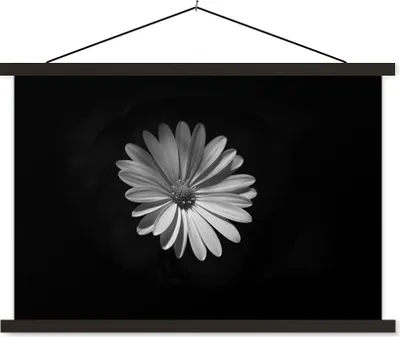 Produktbild von MuchoWow® Textilposter Ein weißes Gänseblümchen auf schwarzem Hintergrund 150x100 cm mit schwarzem Rahmen - Schlafzimmer