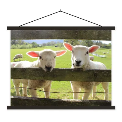 Produktbild von MuchoWow® Textilposter Schafe - Tiere - Bauernhof 150x113 cm mit holzfarbenen Rahmen - Poster