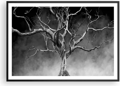 Produktbild von Gerahmtes Poster - Schwarzer Rahmen - Schwarzweiß Äste Rauch - 100x70 cm - Wand Bild - Wanddeko - Wandbilder - Wandposter - Bilderrahmen - Bilder - Kunstdruck - Wandbild - P2BAA100x70-4346