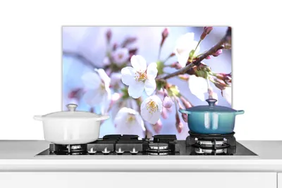 Obrázok produktu pre KitchenYeah® Splashback kitchen - kuchynský splashback - ochrana steny sporáka a drezu - kvety - Sakura - vetva 60x40 - Alu-Dibond (alternatíva skleneného splashbacku) - tepelne odolný - splashback na sporák