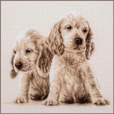 Produktbild von Vervaco Kreuzstich-Set „2 Welpen“, 30 x 26 cm