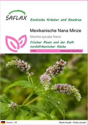 Produktbild von SAFLAX - Kräuter - Mexikanische Nana Minze - 500 Samen - Mentha spicata