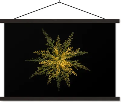 Produktbild von MuchoWow® Textilposter Eine Goldrutenblüte auf schwarzem Hintergrund 150x100 cm mit schwarzem Rahmen - Schlafzimmer