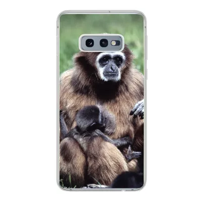 Produktbild von MuchoWow® Handyhülle Schutzhülle Hülle für Samsung Galaxy S10e Affe - Pflanzen - Jung Silikon Softcase Handy Hülle - Handy