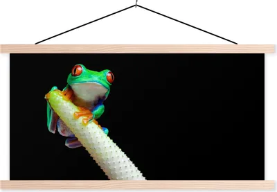 Produktbild von MuchoWow® Textilposter Frosch - Tier - Pflanze 60x30 cm mit holzfarbenen Rahmen - Dekoration
