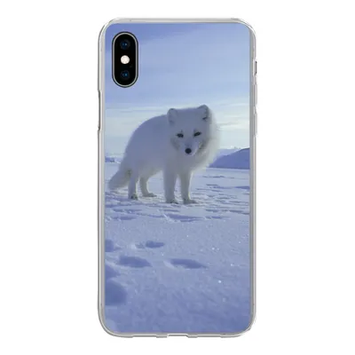Produktbild von MuchoWow® Handyhülle Schutzhülle Hülle für iPhone Xs Fuchs - Schnee - Berge Silikon Softcase Handy Hülle - Handytasche