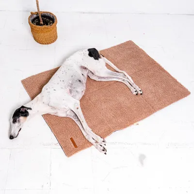 Produktbild von Rexproduct Mia Teddy – faltbare Reisematte für Hunde, beige, Größe S