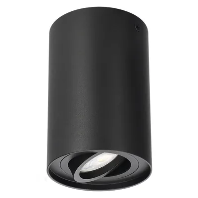 A black cylindrical ceiling light fixture with a rotatable spotlight.