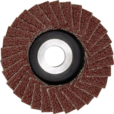 Obrázok produktu pre Proxxon Lamellenschleifer Schleifscheibe 50mm K 240 Lochung 10 mm