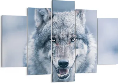 Produktbild von Bild auf Leinwand - Leinwandbild - 5 Teile - Wolf Raubtier Wildheit - 150x100cm - Wand Bild - Wanddeko - Wandbilder - Leinwanddruck - Bilder - Wanddekoration - Leinwand bilder - EA150x100-5073