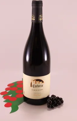 Produktbild von Blauburgunder Filari di Mazzon - 2022 - Ferruccio Carlotto