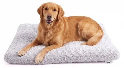 Produktbild von Pebble Hundematte 100 x 70 cm – weiches Hundekissen aus Plüsch, waschbar, Grau (XL)