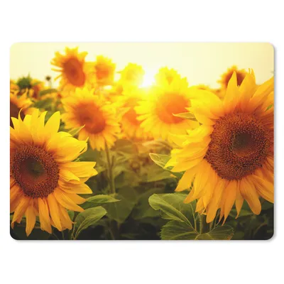 Produktbild von MuchoWow® Mauspad Mousepad Sonnenblume - Gelb - Blumen - Sonne 23x19 cm - Mousepads - Maus Mat - Pad - Mausunterlage - Schreibtischunterlage - Mauspad - Schulsachen