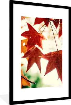 Produktbild von MuchoWow® Gerahmtes Poster Herbstblätter - November - Natur - Bäume 60x90 cm - Poster mit Schwarzem Bilderrahmen Wandposter Rahmen Foto Bilder - Dekoration - Wandposter Wohnzimmer - Hochwertig