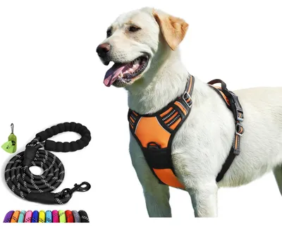 Produktbild von Reflektierend Katzen‑Sicherheitshalsband, verstellbar Schwarz Kitten Halsband mit Sicherheitsverschluss & Silikonhalterung für Airtag‑Tracker, inkl. 1,5 m schwarzer Leine, Ohne AirTag