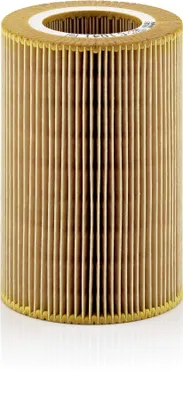 Immagine prodotto di Filtro aria MANN-FILTER C 1041