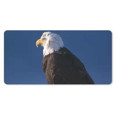 Produktbild von MuchoWow® Mauspad Mousepad Adler - Nahaufnahme - Zweig 60x30 cm - Mousepads - Maus Mat - Pad - Mausunterlage - Nachhaltig