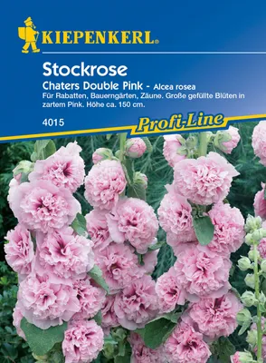 Produktbild von [STREICHUNG 2026] Stockrose Chaters Double Pink | Stockrosensamen von Kiepenkerl