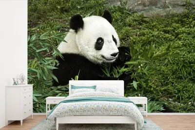 Produktbild von MuchoWow® Fototapete für Wohnzimmer oder Schlafzimmer Wandtapete Vinyl Motivtapete Panda - Bambus - Pflanze - 330x220 cm - Fototapeten