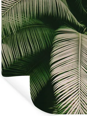 Produktbild von MuchoWow® Wandtattoo Wandsticker Wandaufkleber Palmwedel - Sommer - Tropisch 90x120 cm Selbstklebend und Repositionierbar - Faltenfrei