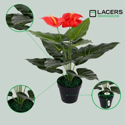Produktbild von Lacers SMARAGDLINE künstliche Anthuirum Pflanze im Topf 2er Set rot - 45cm- dekorative Pflanze-wie echt wirkende Blätter & Blüten für ihr Zuhause