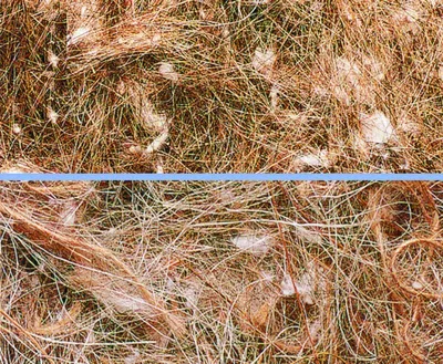 Produktbild von Animalis Nistmaterial „Tierhaar“ 100 g