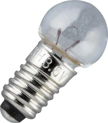 A close-up studio shot of a small light bulb with a screw base.