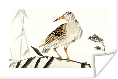 Produktbild von MuchoWow® Poster Vogel - Baum - Blätter - Vintage - Japendi 120x80 cm - Bilder