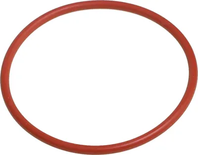Immagine prodotto di Guarnizione Lelit MC195 (piastra doccia) 34,65x1,78 mm per PL41... Anna Anita portafiltro
