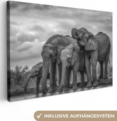 Produktbild von MuchoWow® - Leinwandbilder - Elefant - Tiere - Wasser - Schwarz und weiß, Wandbild, Wanddeko Bilder Wohnzimmer, 90x60 cm