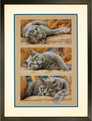 Zdjęcie produktu dla Wymiary, zestaw do haftu krzyżykowego "Kot Max", motyw liczony, 25,4x38,1cm