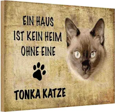 Produktbild von vianmo Holzschild 20x30 cm Tonka Katze ohne kein Heim Tier Haustier