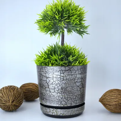 Produktbild von Kerd Safari Graphit Blumentopf mit Untersetzer 12 cm