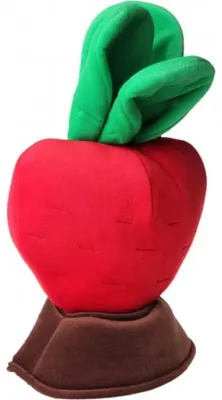 Image de Betterave rouge