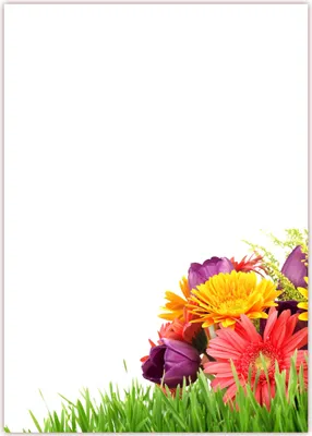 Produktbild von Motiv Briefpapier (Blumen-5033, DIN A4, 25 Blatt). Einseitig bedrucktes Briefpapier, beschreibbar, Motivpapier für alle Drucker/Kopierer geeignet Motiv Blumen wunderschöner Blumenstrauß Tulpen und Gerbera