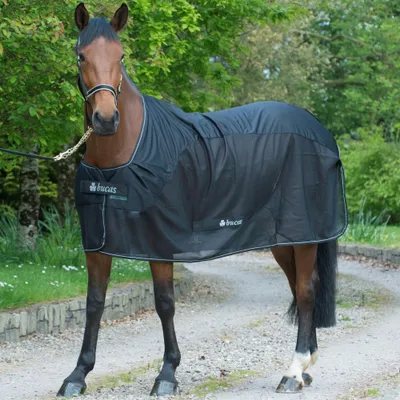 Produktbild von Bucas Competition Cooler - black/silver