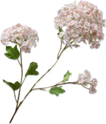 Produktbild von Silk-ka Künstliche Blumen-Seidenblumen Schneeballzweig Rosa 69 cm