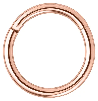 Produktbild von Wildcat Piercingringe - Hinged Segmentring aus Chirurgenstahl 316L, Körperstelle: Ohr, Nase, Lippe, Bauchnabel, Stärke: 1,0mm| Durchmesser: 8,0mm, Roségold
