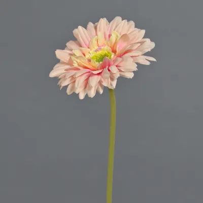 Produktbild von artplants.de Künstliche Blume Gerbera QIUDONG, pfirsich-rosa, 50 cm - Künstliche Stielblume