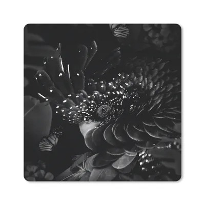 Produktbild von MuchoWow® Mauspad Mousepad Porträt eines Kakadus umgeben von Schmetterlingen - schwarz und weiß 30x30 cm - Mousepads - Maus Mat - Pad - Mausunterlage - Gaming