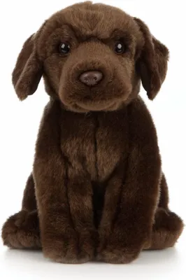 A stuffed toy dog sitting on a white background.