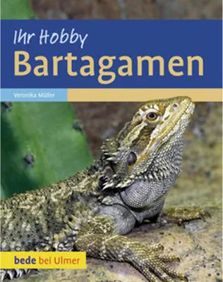 Produktbild von Bartagamen