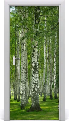 Produktbild von Tulup Türaufkleber 95x205 cm Dekorative Aufkleber Selbstklebend Wasserdichte Tapete Abnehmbar Schlafzimmer Wohnzimmer Wohnkultur - Birkenwald