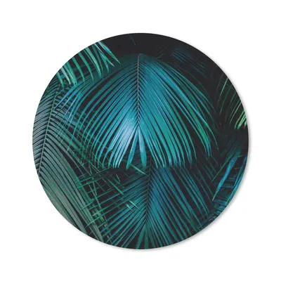 Produktbild von MuchoWow® Mauspad Mousepad Palmen - Dschungel - Blätter 50x50 cm - Mousepads - Maus Mat - Pad - Mausunterlage - Vinyl