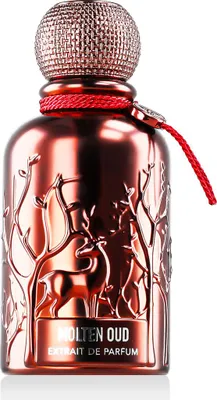 Produktbild von Auraa Desire Molten Oud Extrait de Parfum 100 ml (unisex)