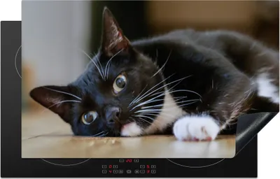 Produktbild von KitchenYeah© Herdabdeckplatte Katzen - Boden - Schwarz , 83x51cm, Küche Deko, Glaskeramikkochfeld Herdabdeckung, Abdeckplatte fùr Kochfeld