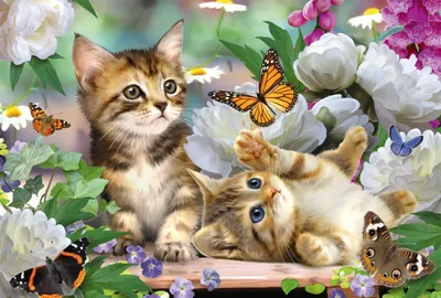 Image de Schmidt Spiele KIPU150T Bébés chats ludiques 0 0 STK