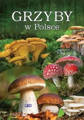 Produktbild von Grzyby w Polsce - praca zbiorowa