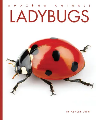 Produktbild von Ladybugs
